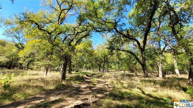 15010 Rosanky Road, Holland, TX 76534