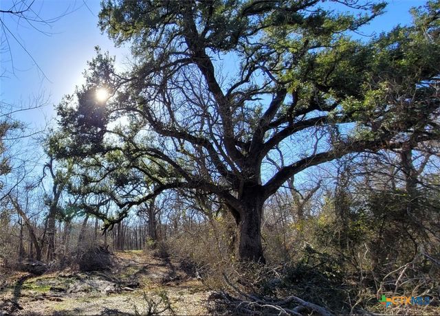 15010 Rosanky Road, Holland, TX 76534