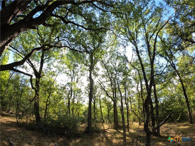 15010 Rosanky Road, Holland, TX 76534