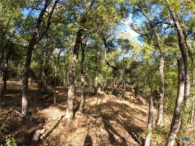 15010 Rosanky Road, Holland, TX 76534