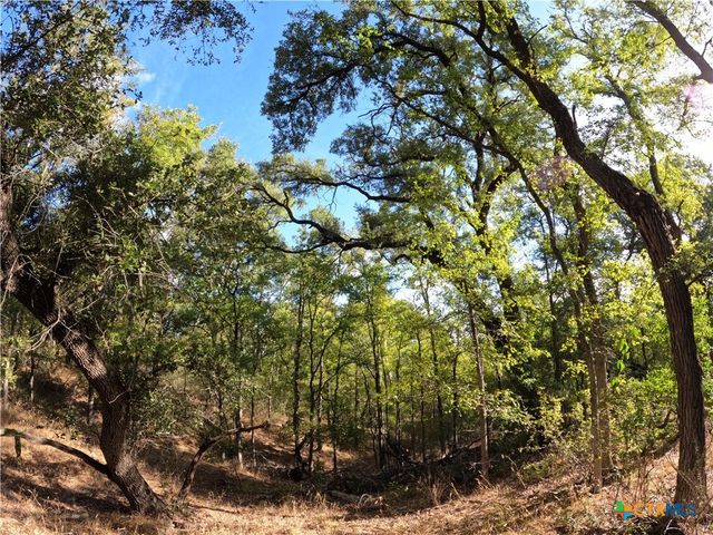 15010 Rosanky Road, Holland, TX 76534