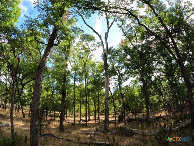 15010 Rosanky Road, Holland, TX 76534