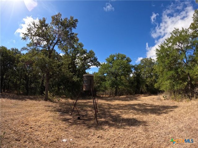 15010 Rosanky Road, Holland, TX 76534