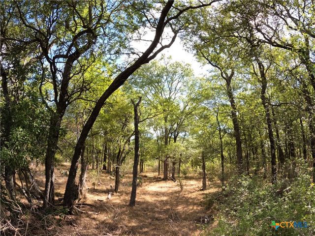 15010 Rosanky Road, Holland, TX 76534