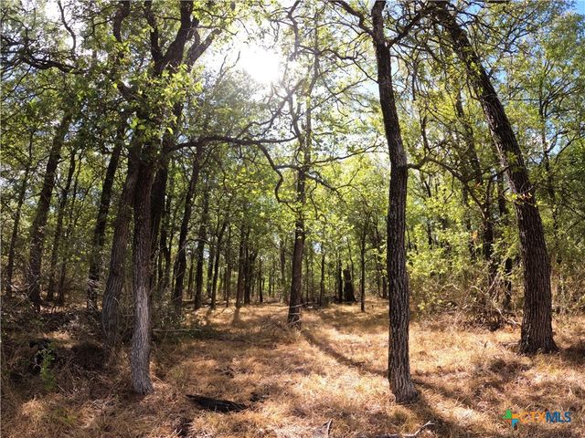 15010 Rosanky Road, Holland, TX 76534