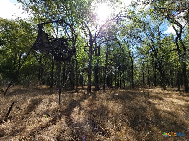 15010 Rosanky Road, Holland, TX 76534