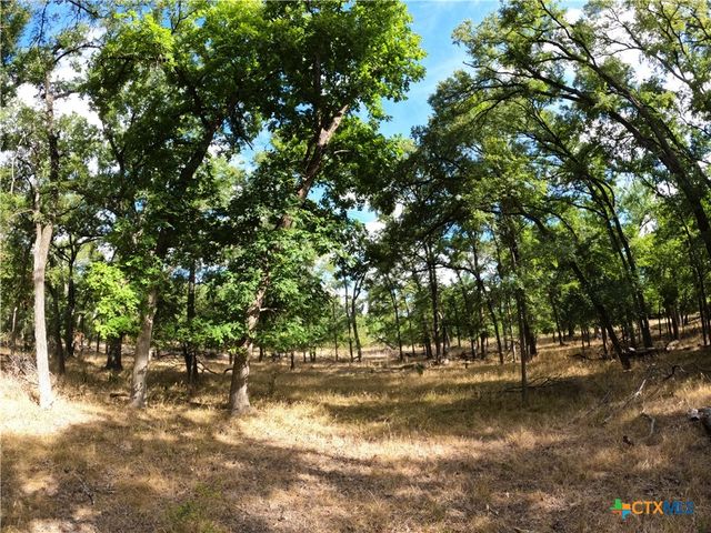 15010 Rosanky Road, Holland, TX 76534