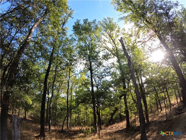 15010 Rosanky Road, Holland, TX 76534