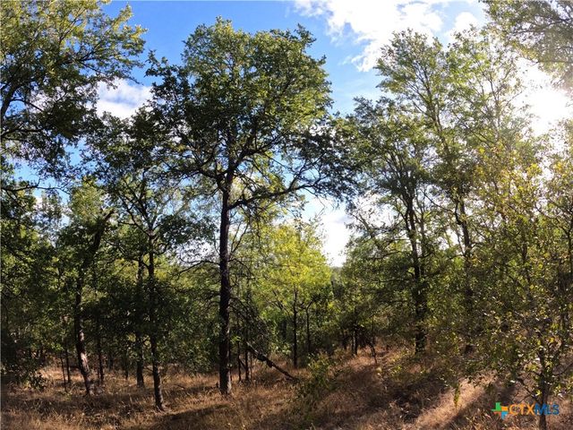 15010 Rosanky Road, Holland, TX 76534