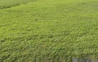 13387 Greely Rd, Baton Rouge, LA 70807