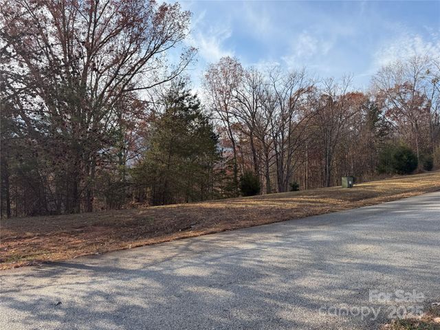 90 Chestertown Drive 90, Mill Spring, NC 28756