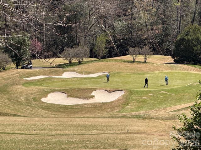 90 Chestertown Drive 90, Mill Spring, NC 28756
