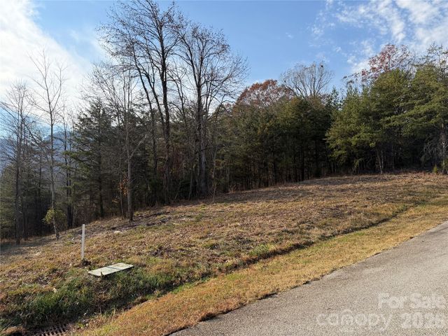 90 Chestertown Drive 90, Mill Spring, NC 28756