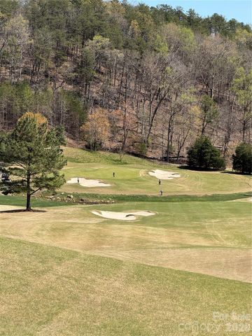 90 Chestertown Drive 90, Mill Spring, NC 28756