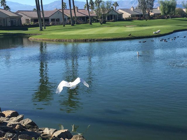 38517 Fallbrook Avenue, Palm Desert, CA 92211