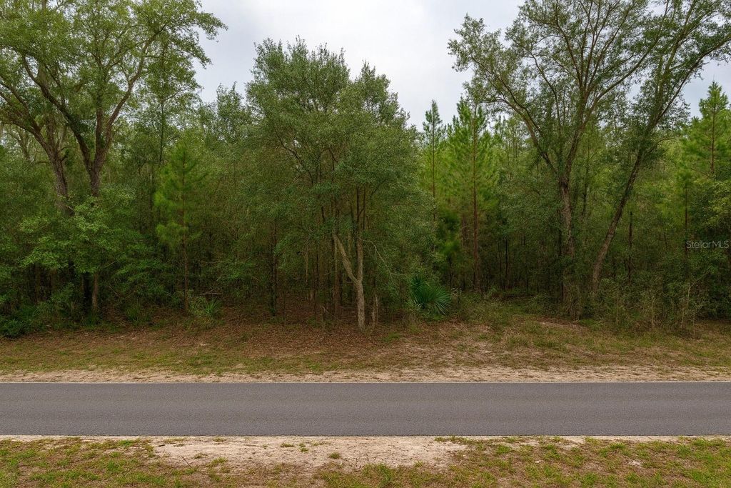 3511 E JACLYN LANE, Inverness, FL 34453