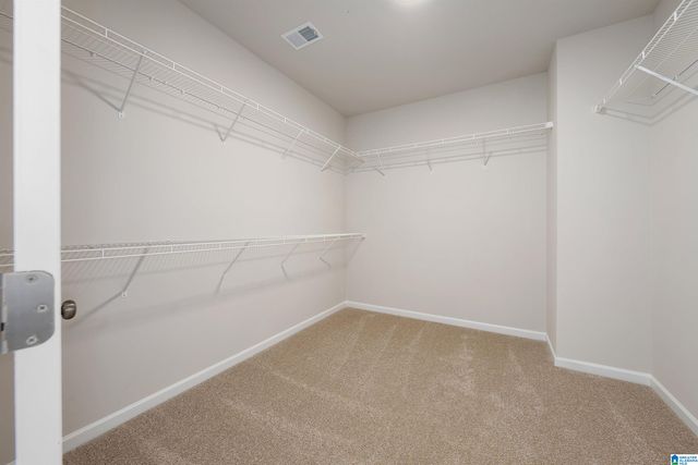 6585 LITTLE GOOSE DRIVE, Trussville, AL 35173