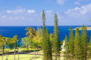 100 Ridge Rd # 723, Lahaina, HI 96761