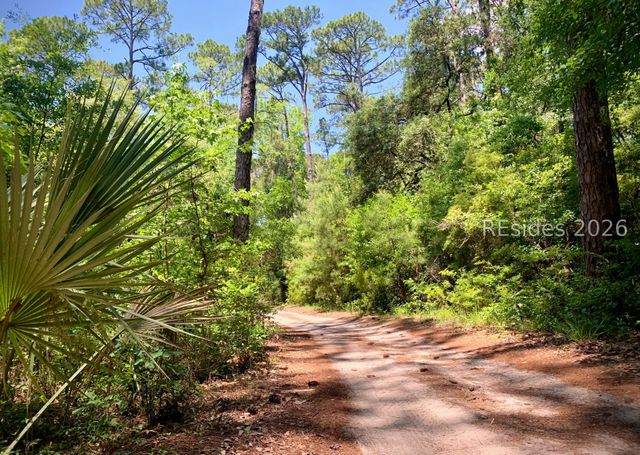 59 Hinson White Dr, Daufuskie Island, SC 29915