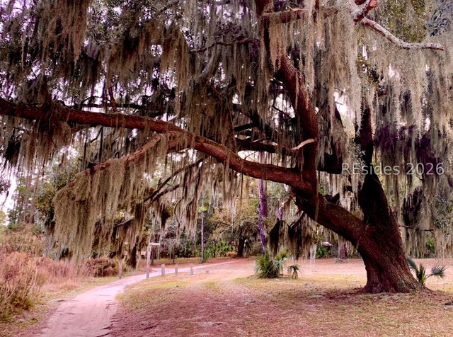 59 Hinson White Dr, Daufuskie Island, SC 29915