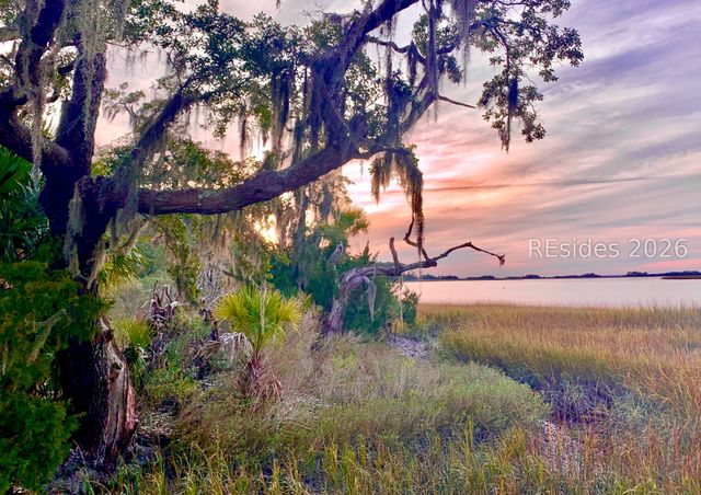 59 Hinson White Dr, Daufuskie Island, SC 29915