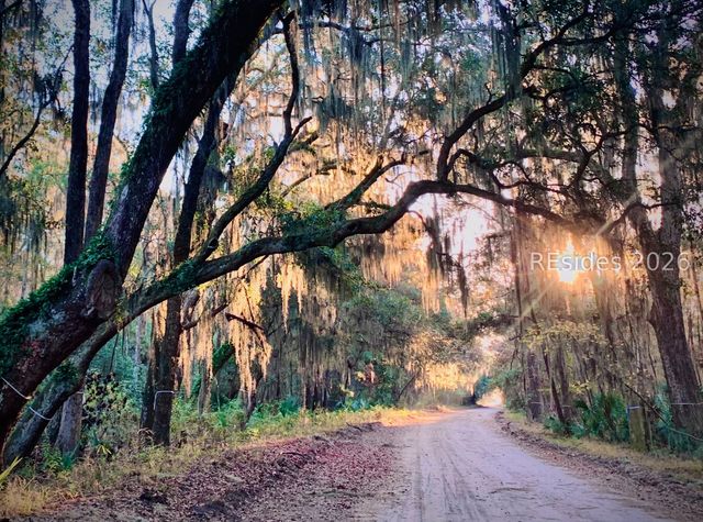 59 Hinson White Dr, Daufuskie Island, SC 29915