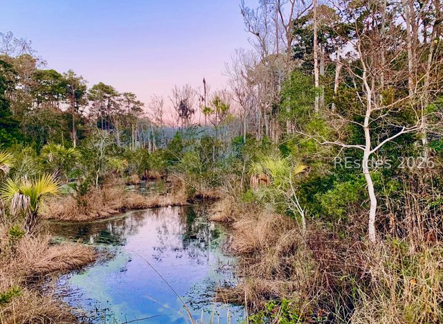 59 Hinson White Dr, Daufuskie Island, SC 29915