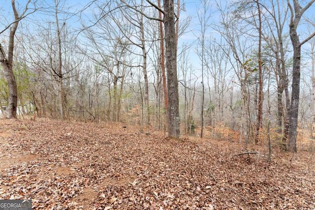 290 Silver Fox Drive, Dawsonville, GA 30534