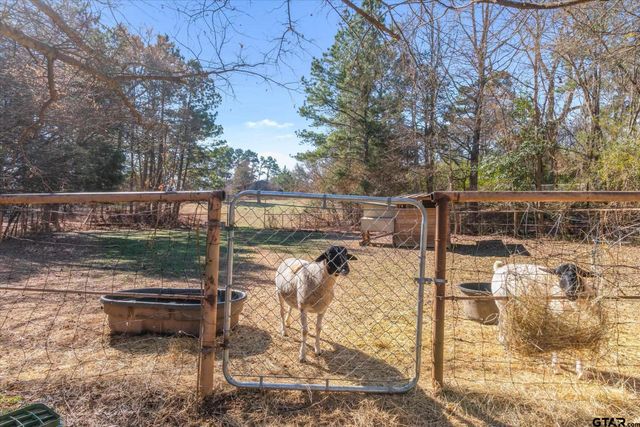 15683 County Rd 472, Tyler, TX 75706