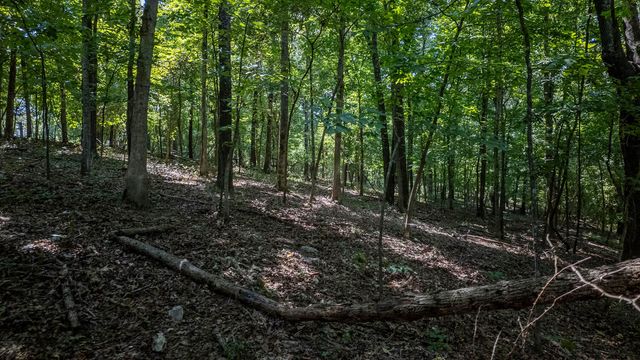Lots 12-14 Riverbend Road, Mammoth Spring, AR 72554