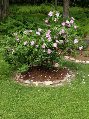 455 Hawk Pine Road, Norwich, VT 05055
