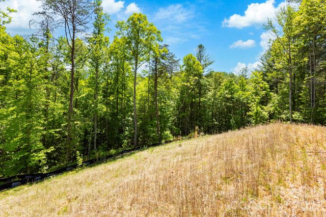 151 Riverbend Forest Drive, Asheville, NC 28805