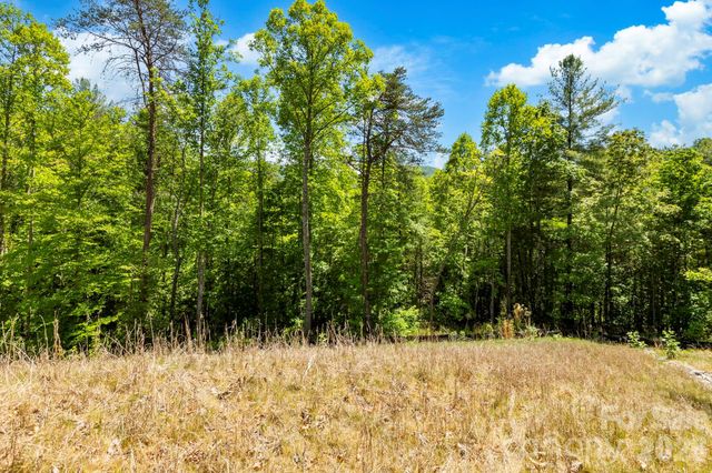 151 Riverbend Forest Drive, Asheville, NC 28805