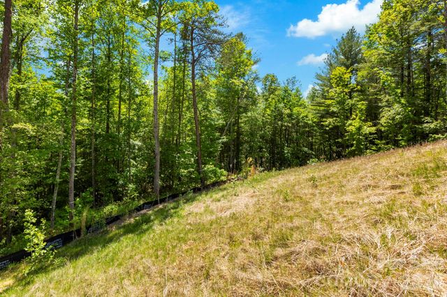 151 Riverbend Forest Drive, Asheville, NC 28805