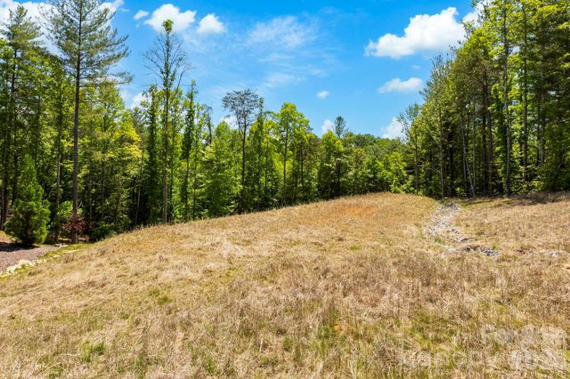 151 Riverbend Forest Drive, Asheville, NC 28805