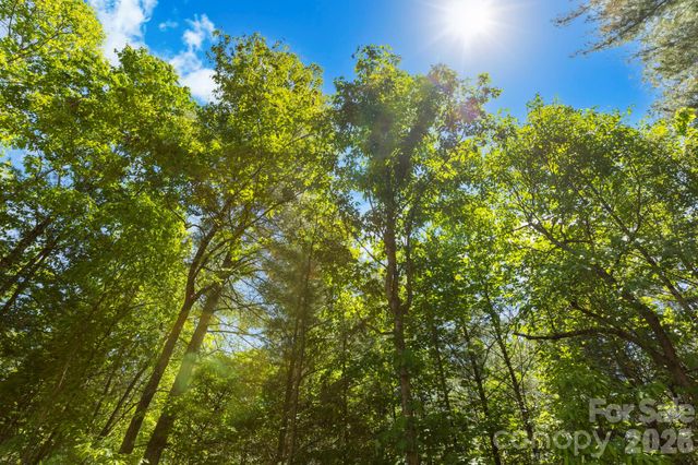 151 Riverbend Forest Drive, Asheville, NC 28805