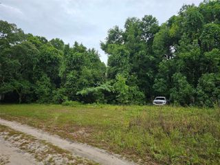 SE 140TH TERRACE, Ocklawaha, FL 32179
