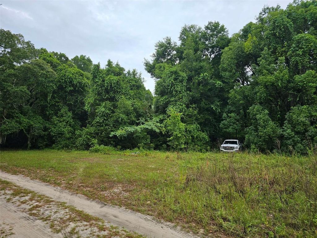 SE 140TH TERRACE, Ocklawaha, FL 32179