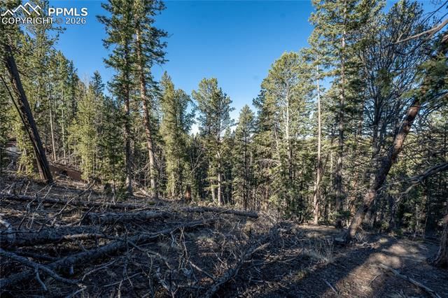 565 Fairview Drive, Cripple Creek, CO 80813