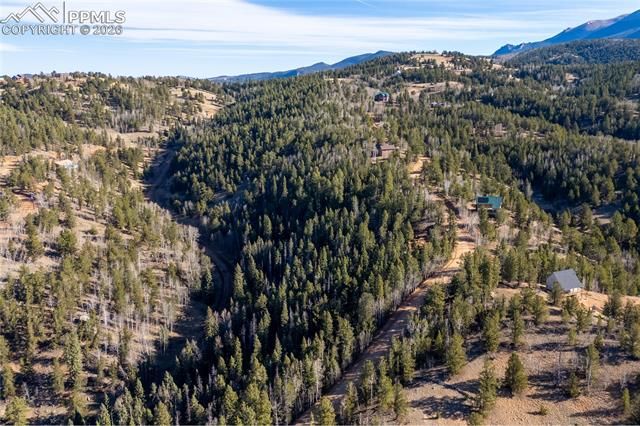 565 Fairview Drive, Cripple Creek, CO 80813