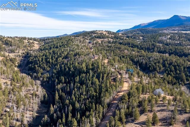 565 Fairview Drive, Cripple Creek, CO 80813