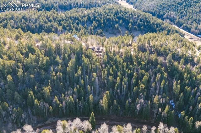 565 Fairview Drive, Cripple Creek, CO 80813