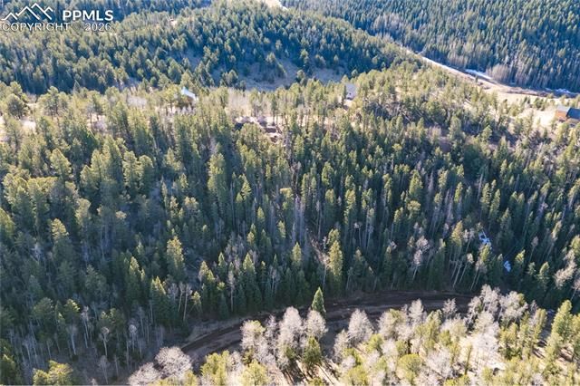 565 Fairview Drive, Cripple Creek, CO 80813