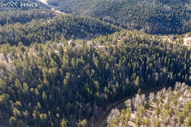 565 Fairview Drive, Cripple Creek, CO 80813