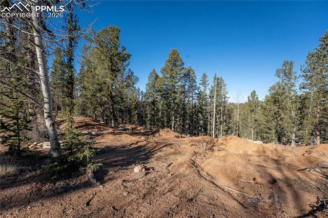 565 Fairview Drive, Cripple Creek, CO 80813