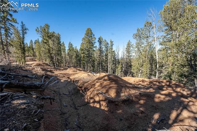565 Fairview Drive, Cripple Creek, CO 80813