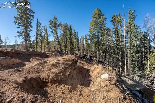 565 Fairview Drive, Cripple Creek, CO 80813