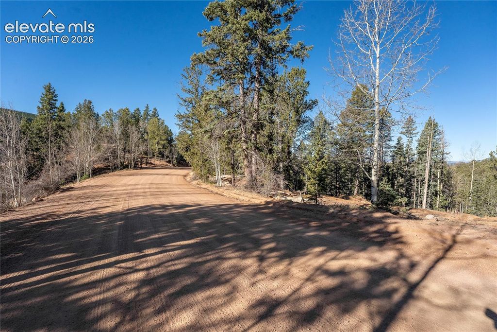 565 Fairview Drive, Cripple Creek, CO 80813 — photo 3
