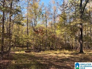 4568 CABIN ROAD, Mccalla, AL 35022