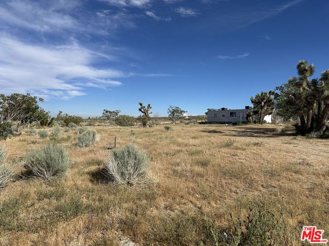 32049 213th Street, Llano, CA 93544